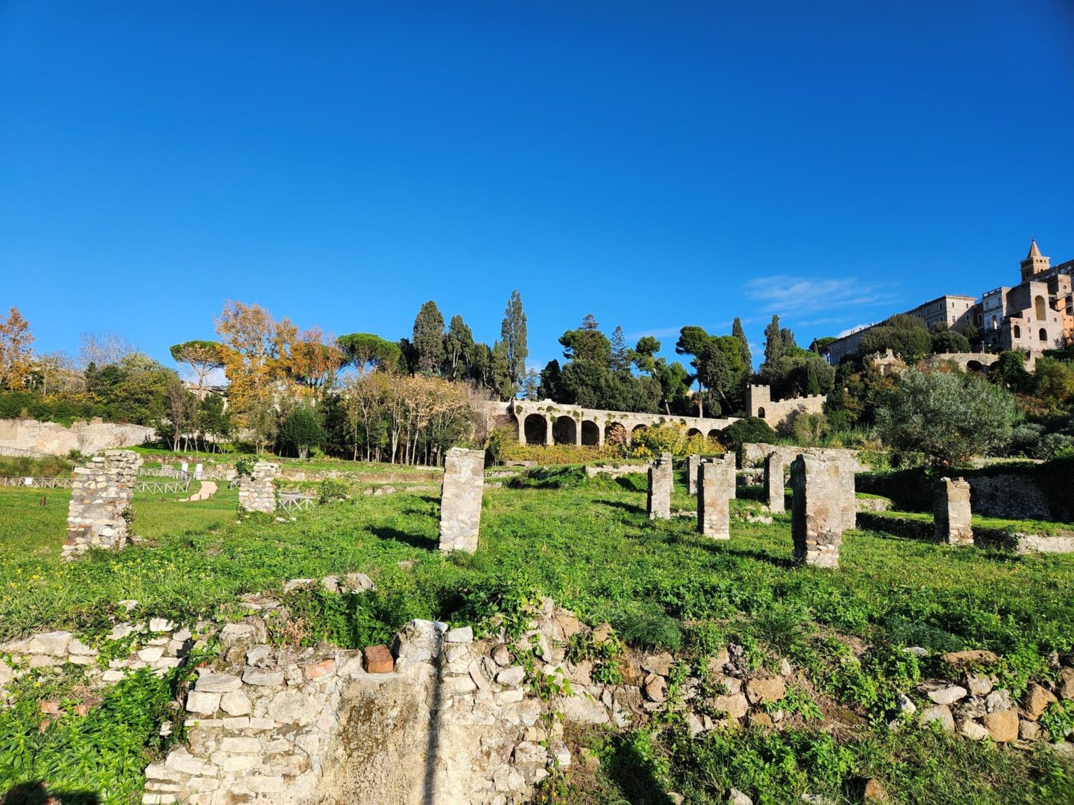 Rome in 8 Days: Walking 100 km Through a History Textbook