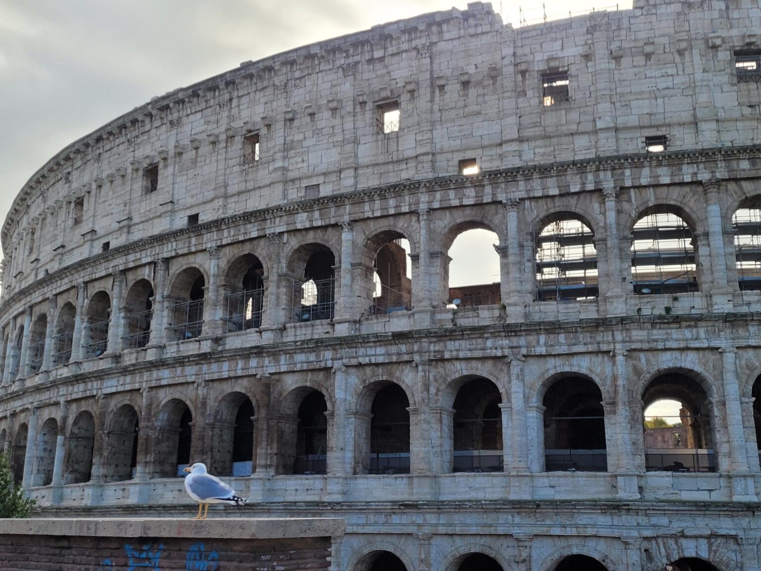 Rome in 8 Days: Walking 100 km Through a History Textbook