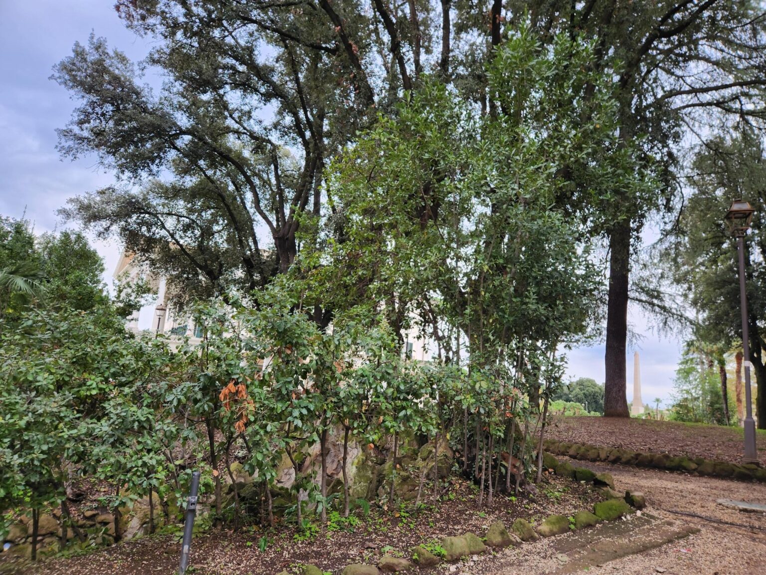 Rome in 8 Days: Walking 100 km Through a History Textbook