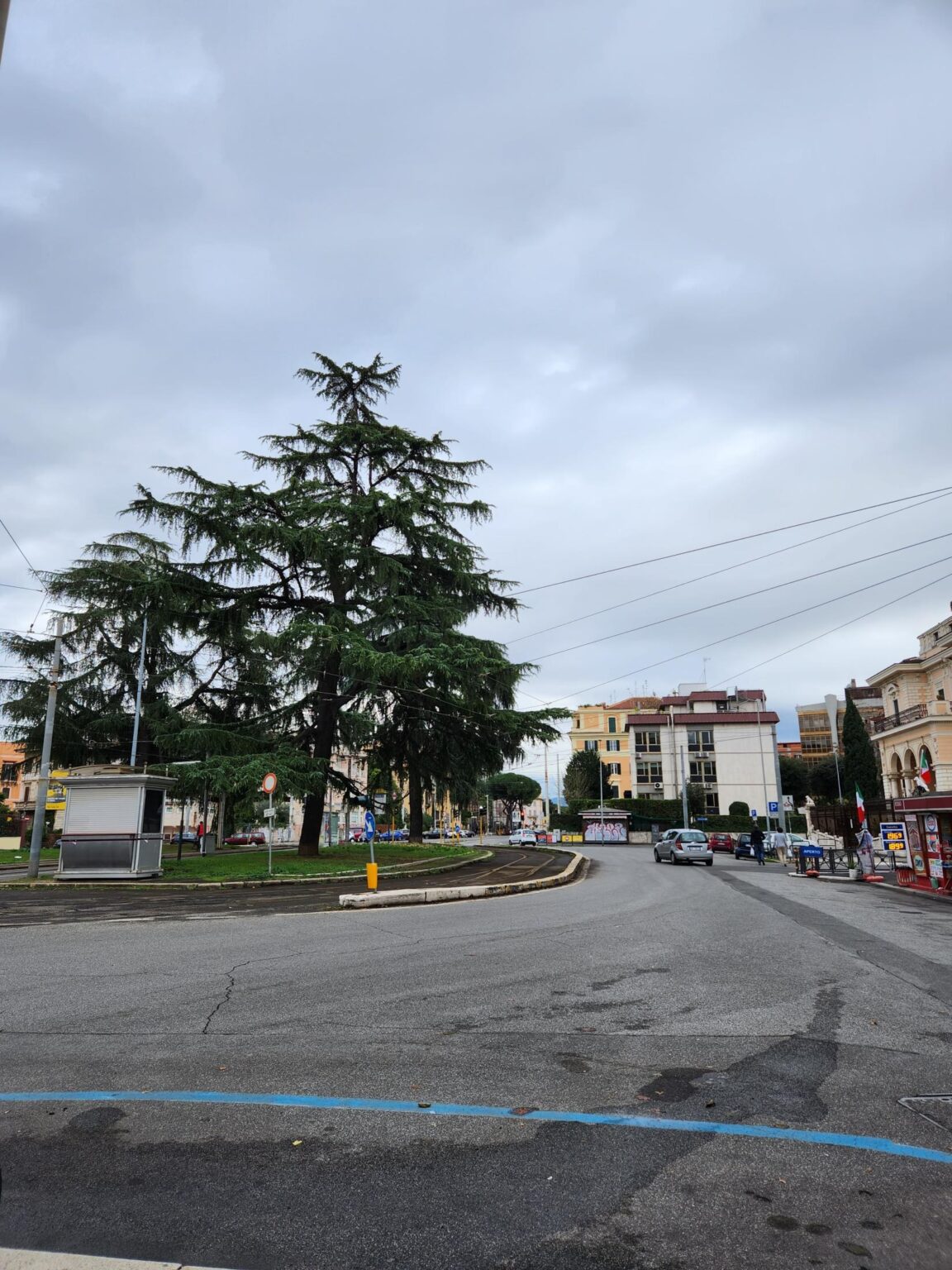 Rome in 8 Days: Walking 100 km Through a History Textbook
