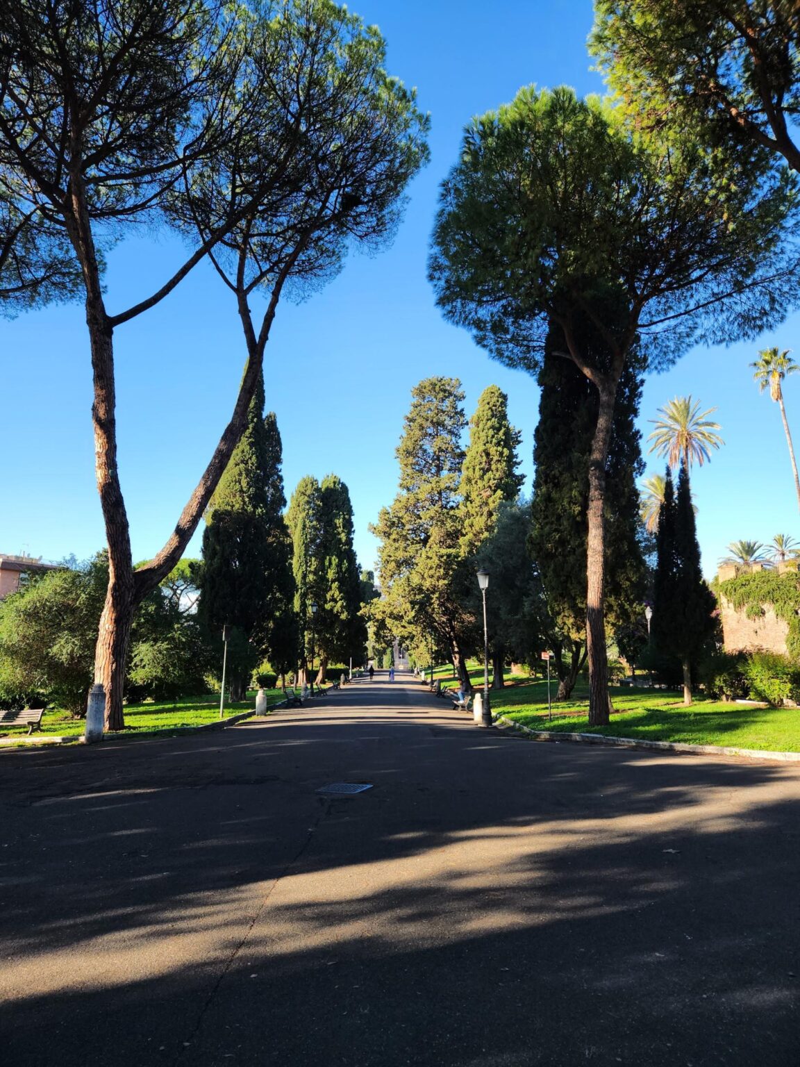 Rome in 8 Days: Walking 100 km Through a History Textbook
