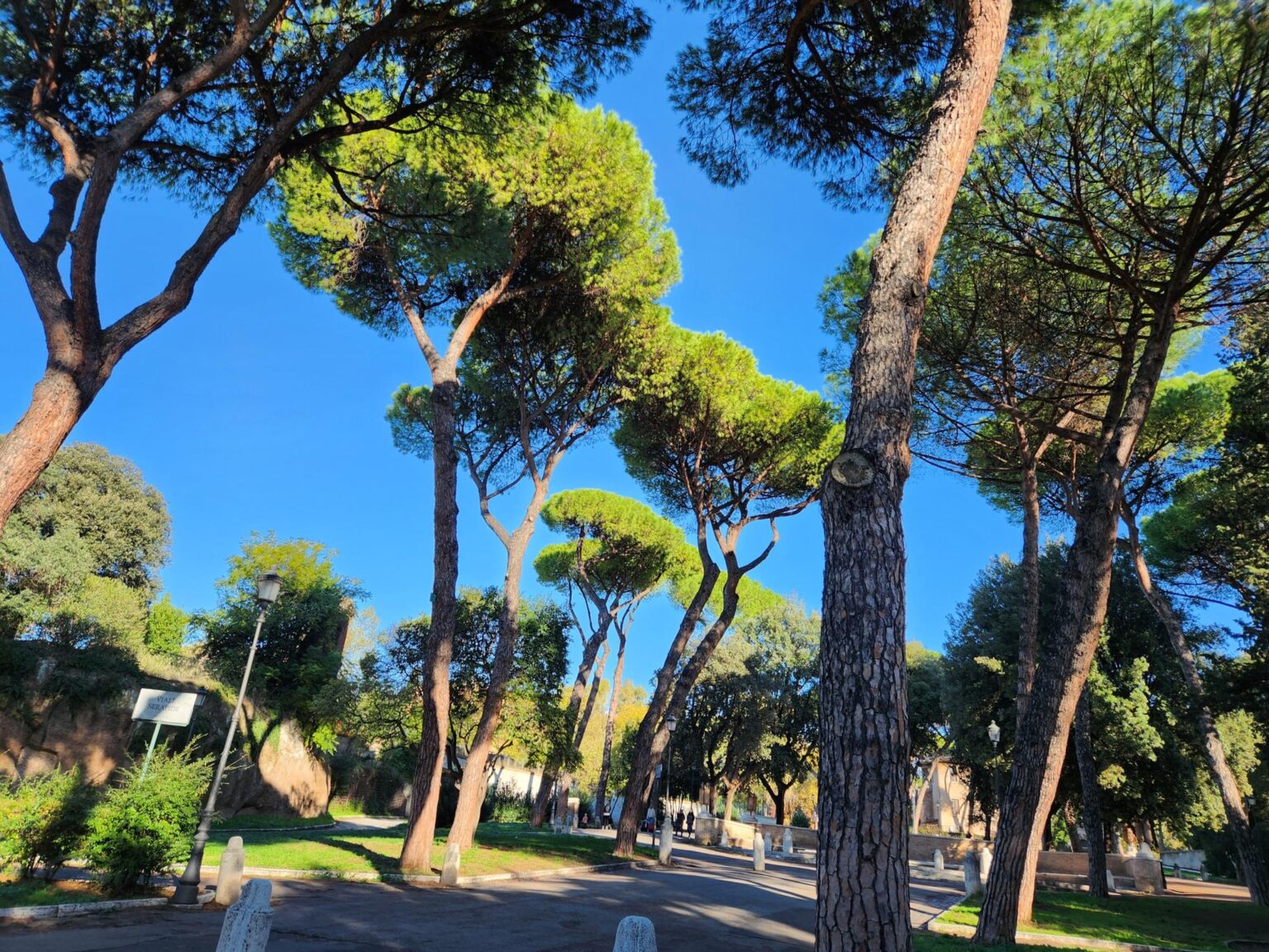 Rome in 8 Days: Walking 100 km Through a History Textbook