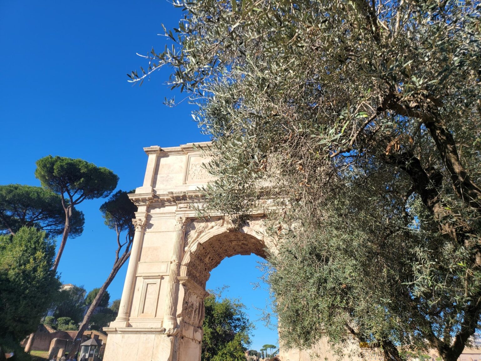 Rome in 8 Days: Walking 100 km Through a History Textbook
