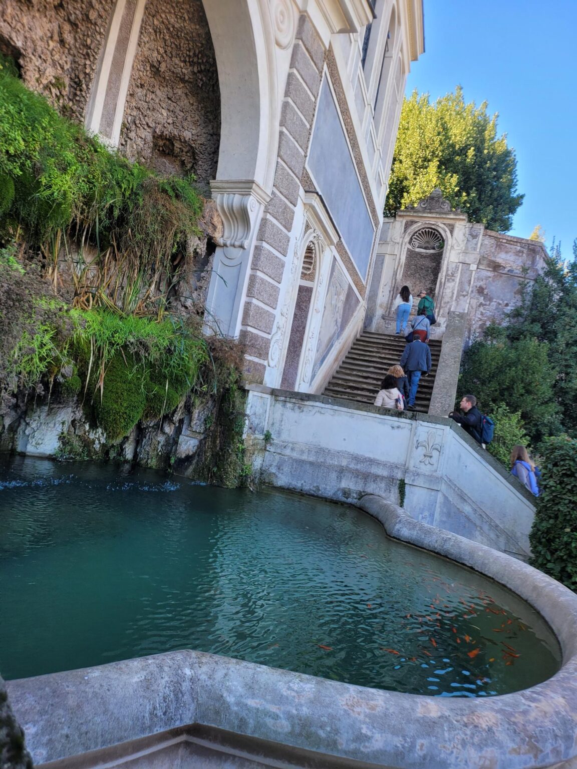 Rome in 8 Days: Walking 100 km Through a History Textbook