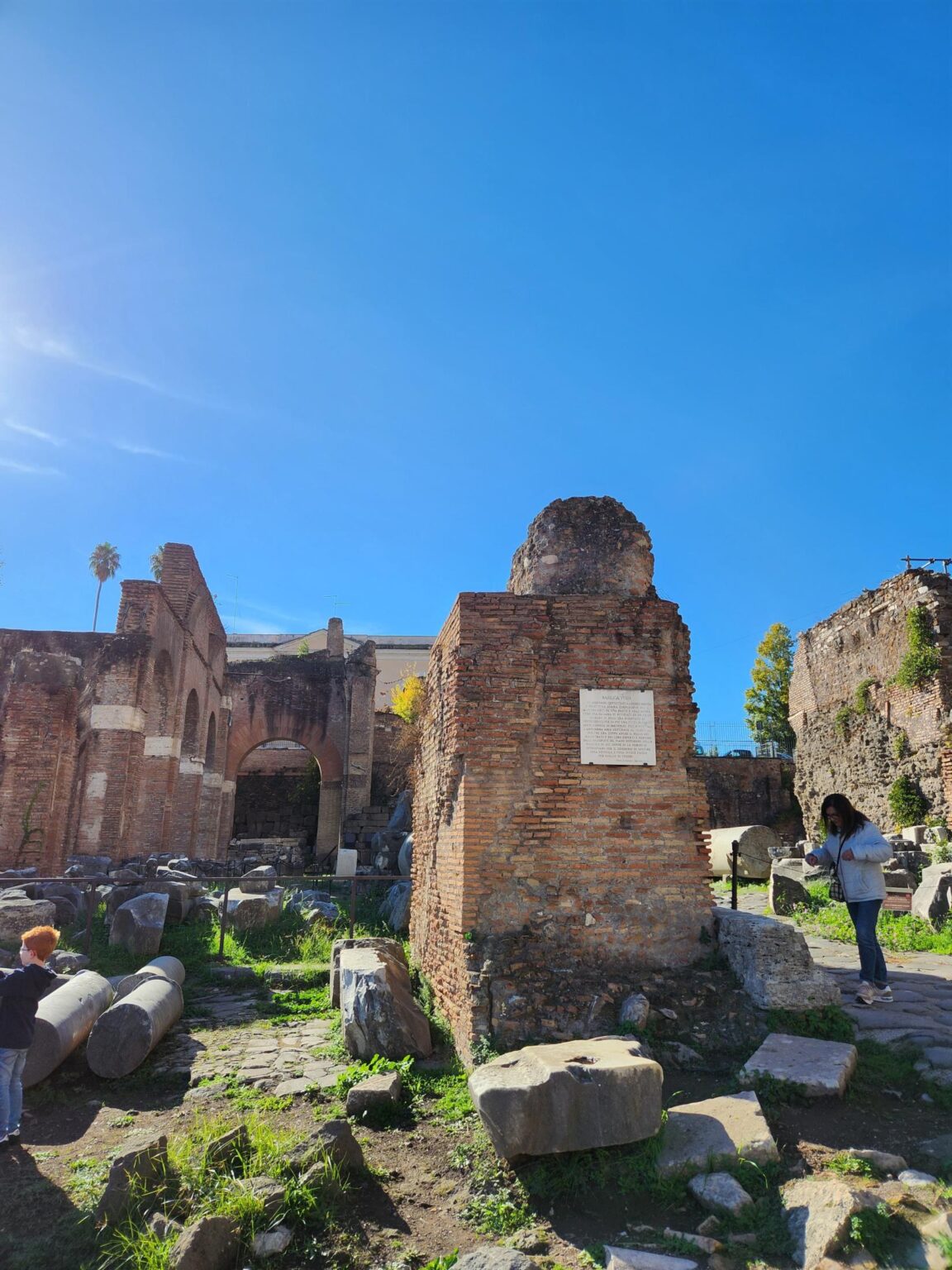 Rome in 8 Days: Walking 100 km Through a History Textbook