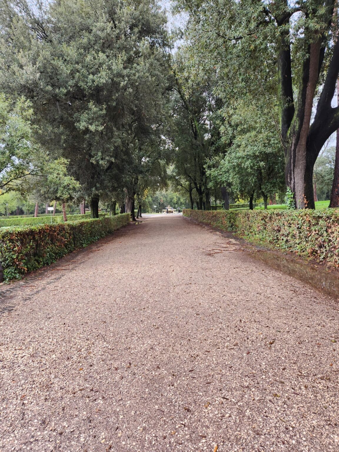 Rome in 8 Days: Walking 100 km Through a History Textbook