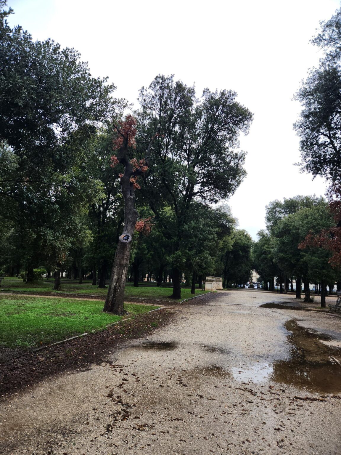 Rome in 8 Days: Walking 100 km Through a History Textbook