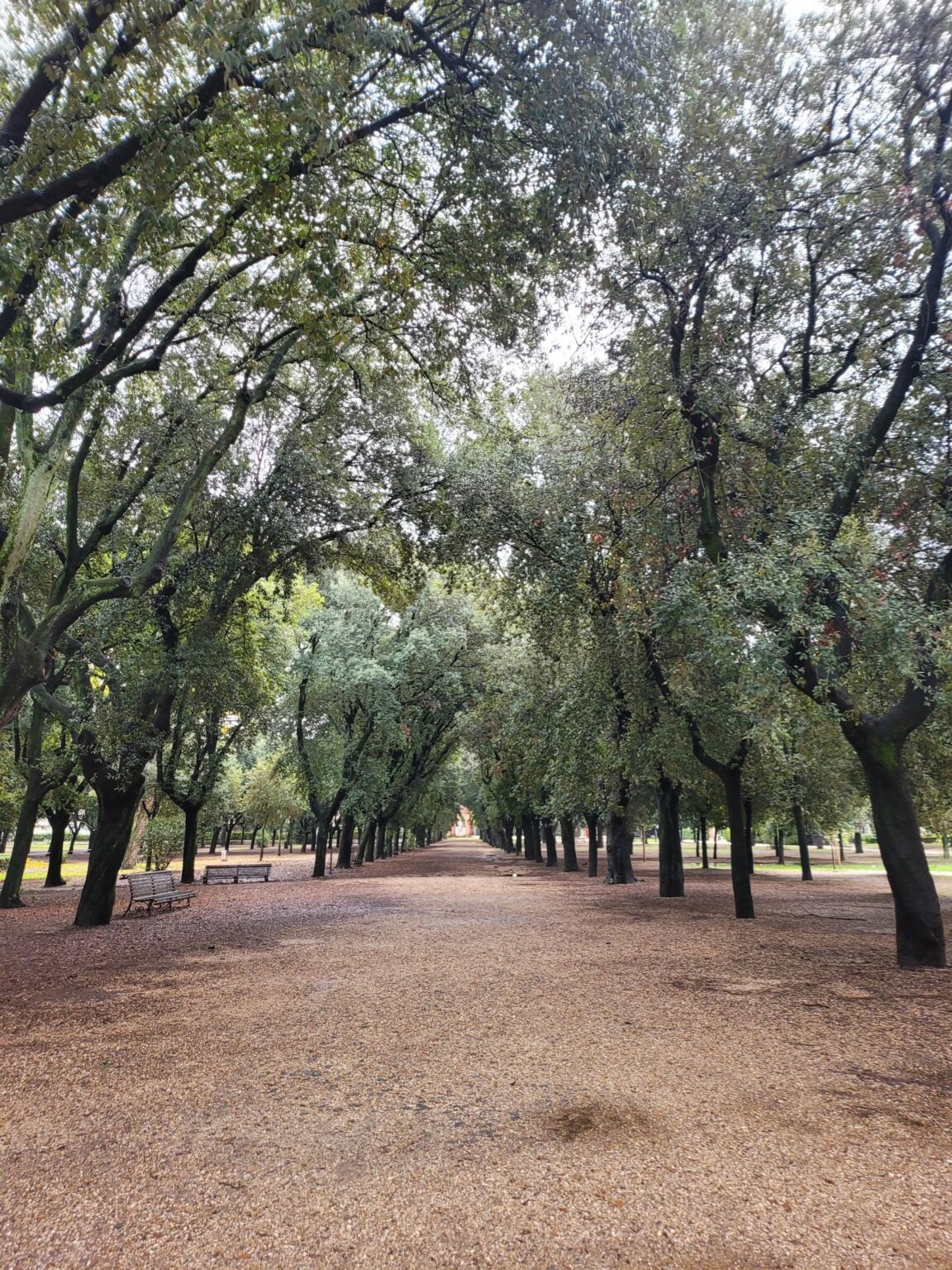 Rome in 8 Days: Walking 100 km Through a History Textbook