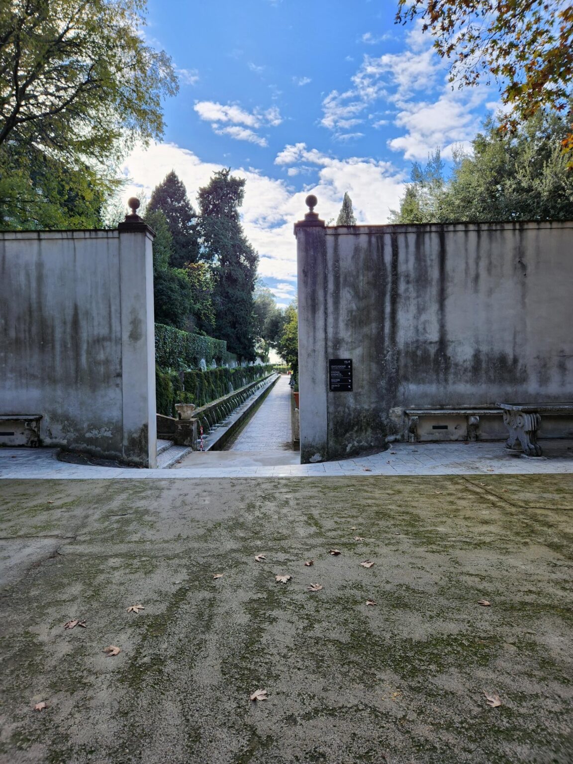 Rome in 8 Days: Walking 100 km Through a History Textbook
