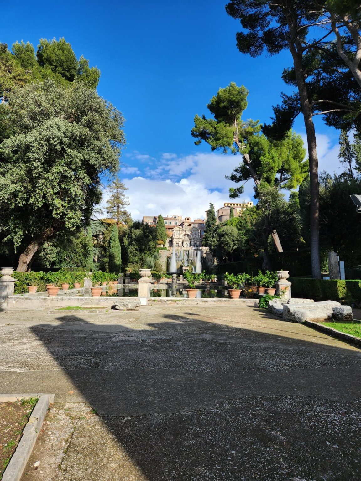 Rome in 8 Days: Walking 100 km Through a History Textbook