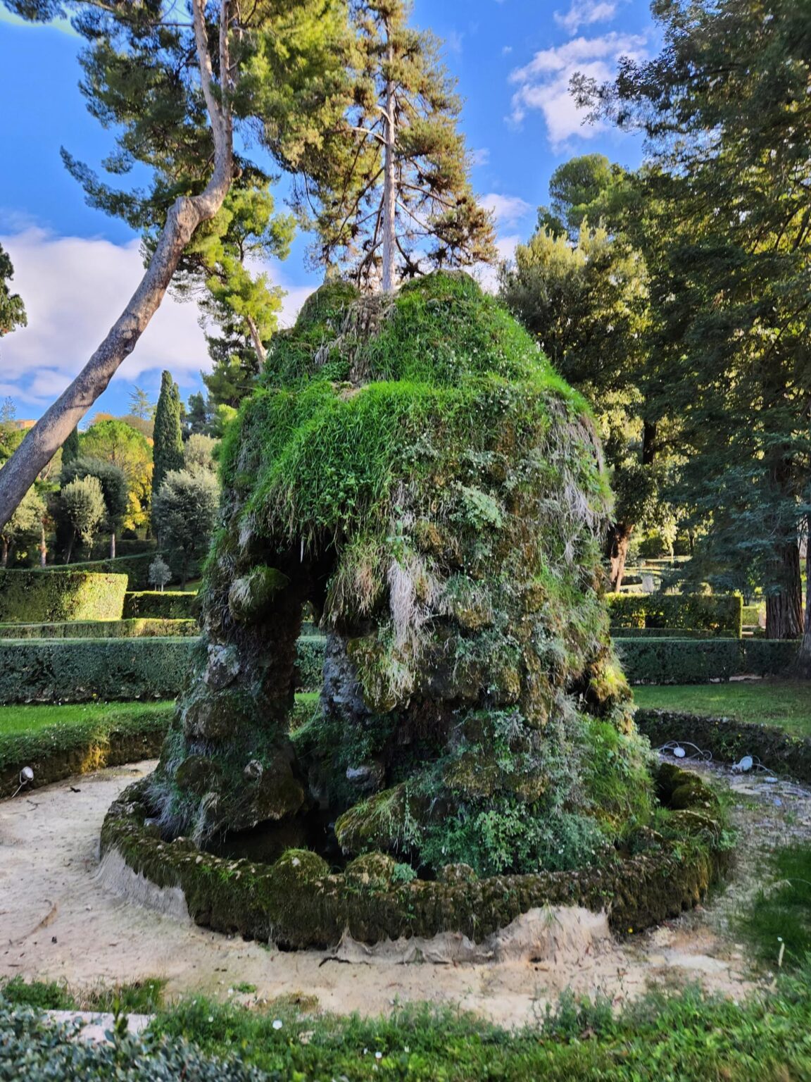 Rome in 8 Days: Walking 100 km Through a History Textbook