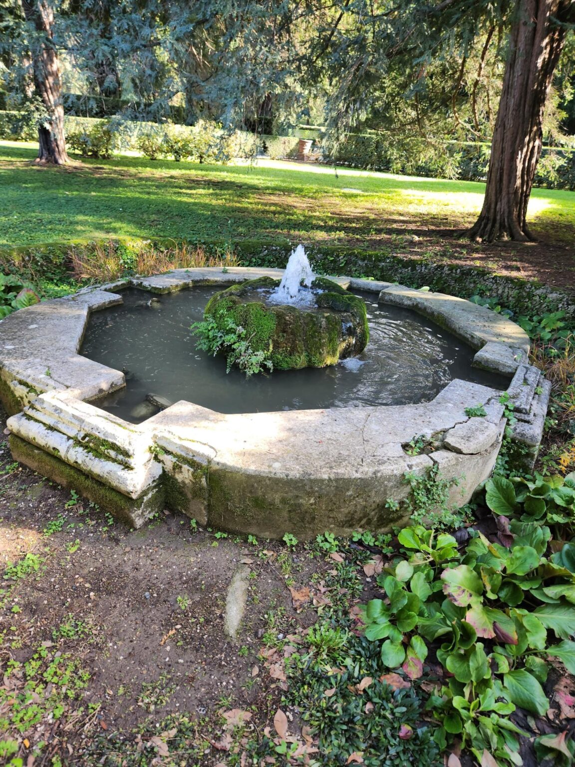 Rome in 8 Days: Walking 100 km Through a History Textbook