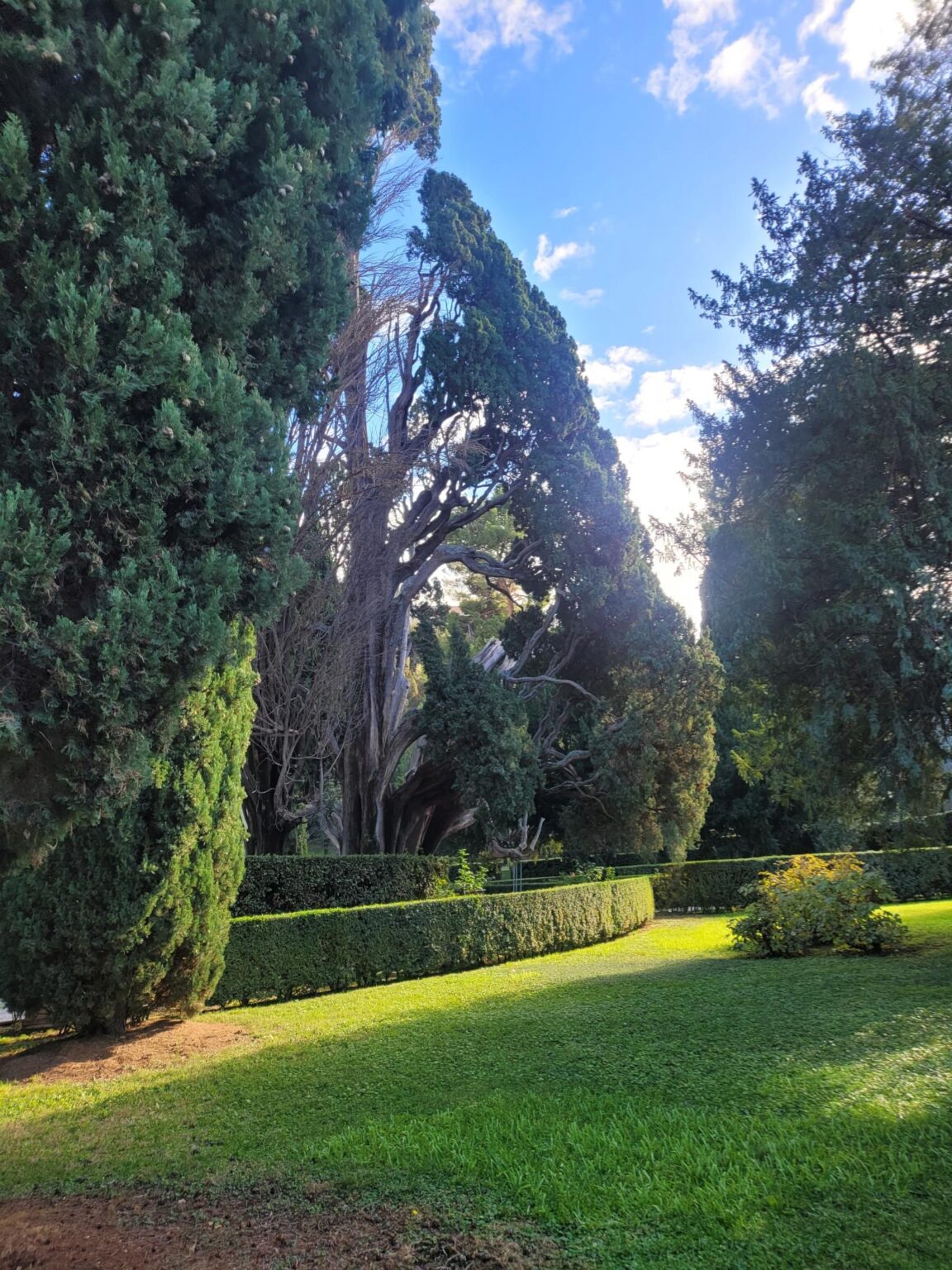 Rome in 8 Days: Walking 100 km Through a History Textbook