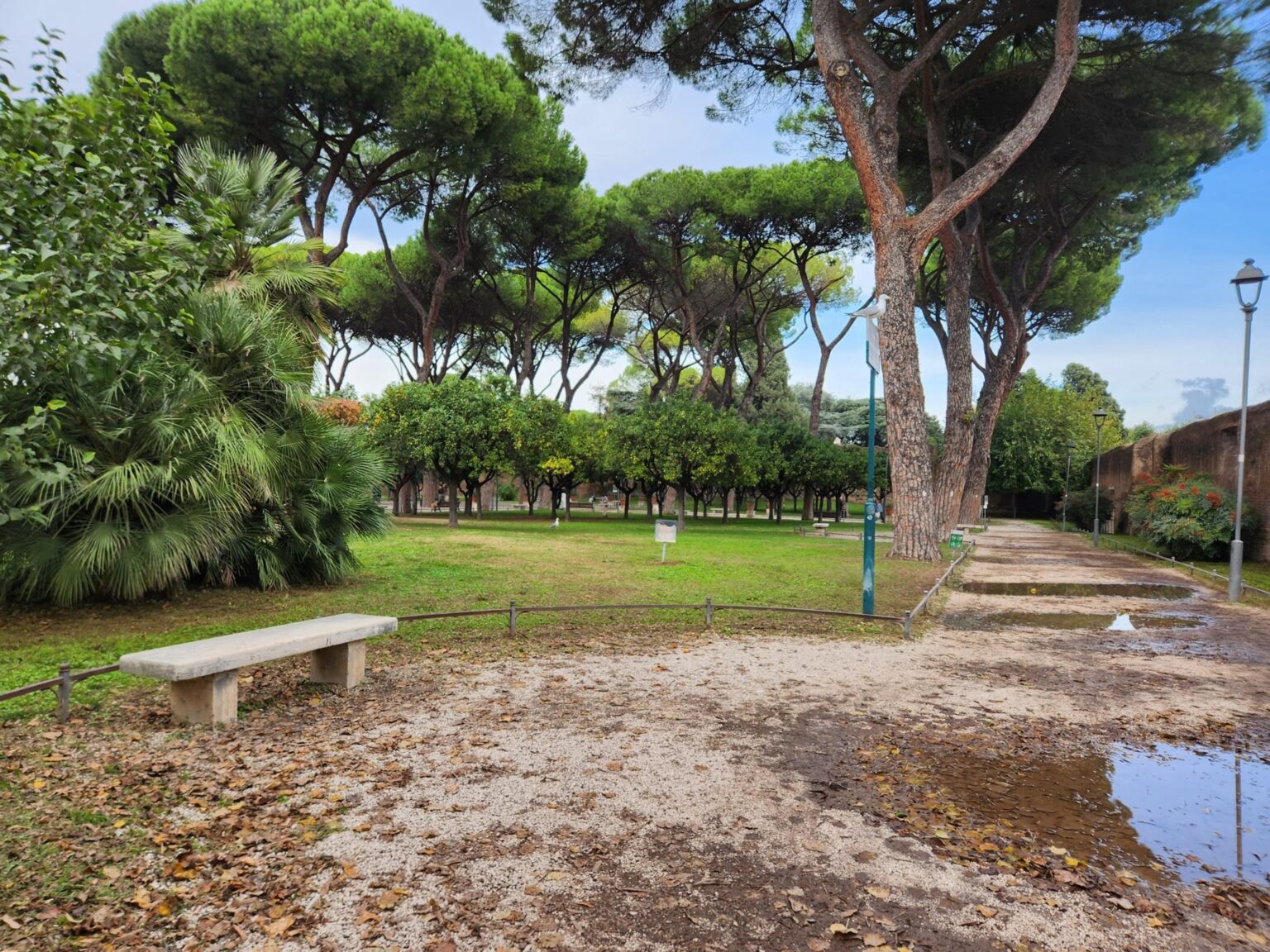 Rome in 8 Days: Walking 100 km Through a History Textbook