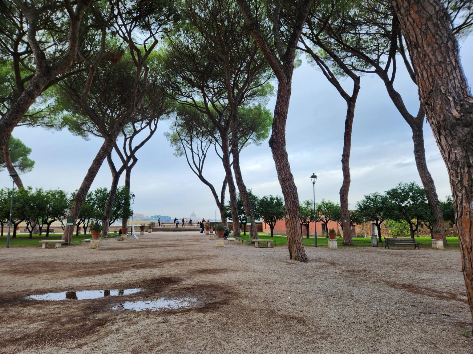 Rome in 8 Days: Walking 100 km Through a History Textbook