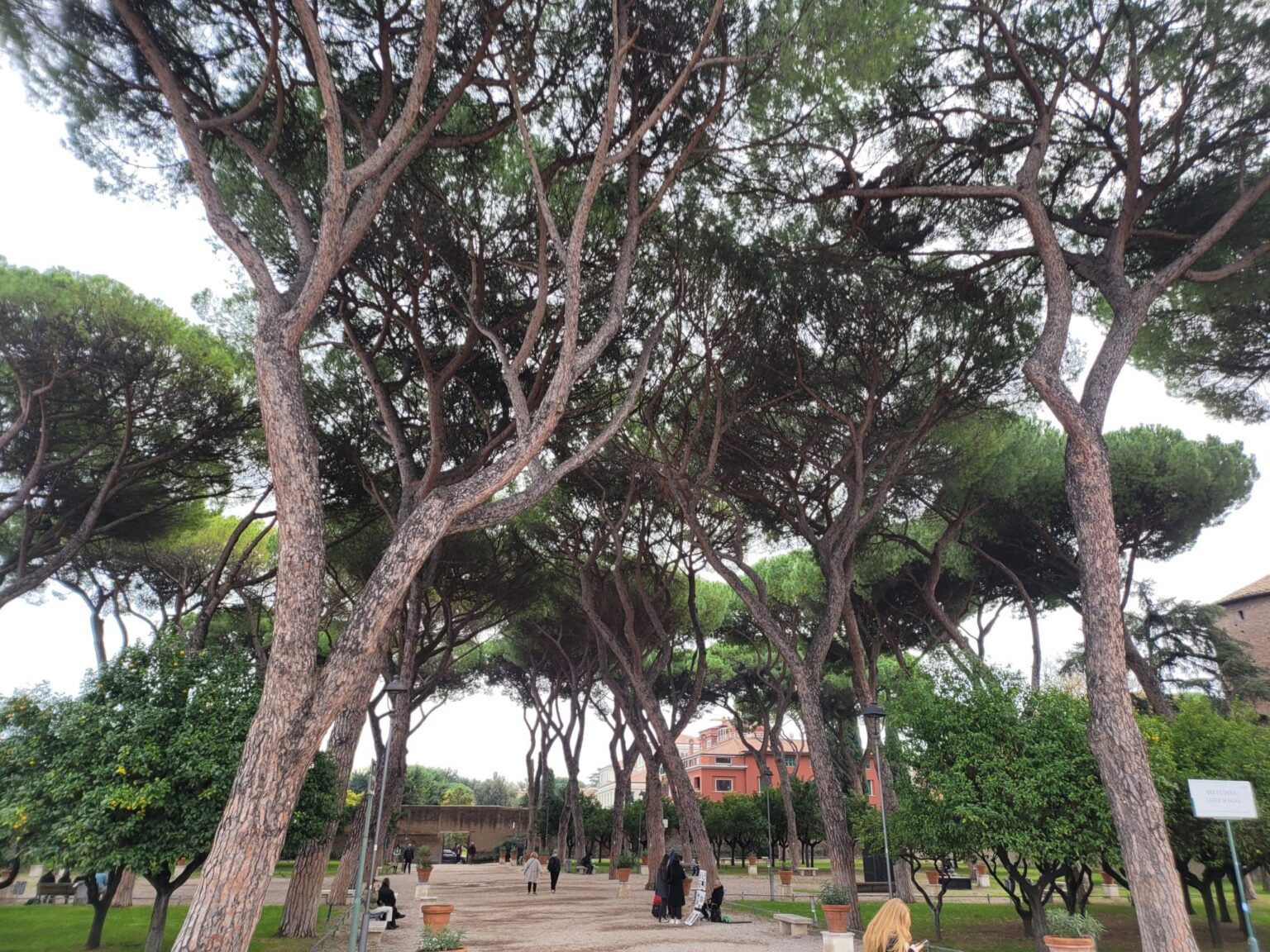 Rome in 8 Days: Walking 100 km Through a History Textbook