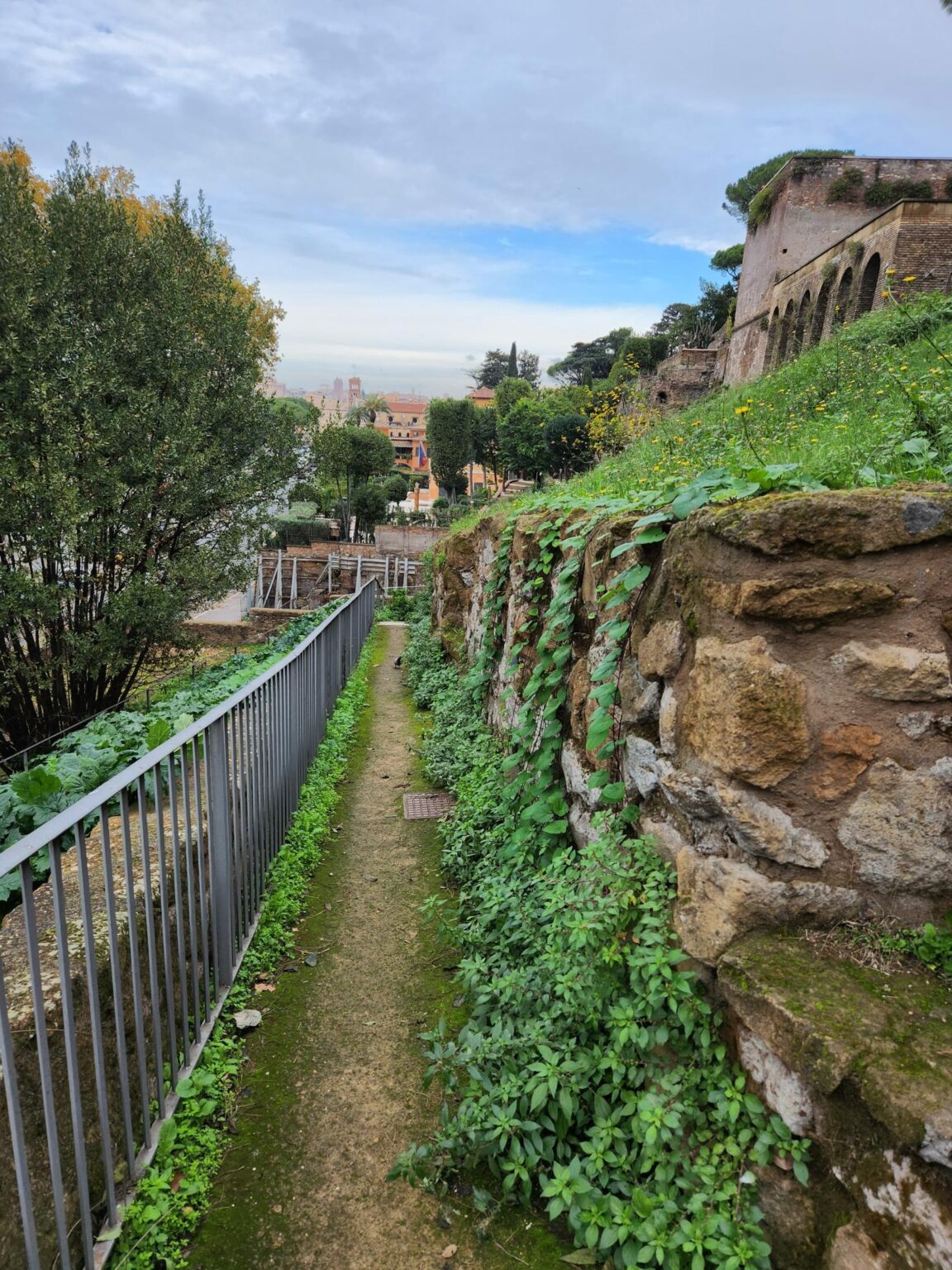 Rome in 8 Days: Walking 100 km Through a History Textbook