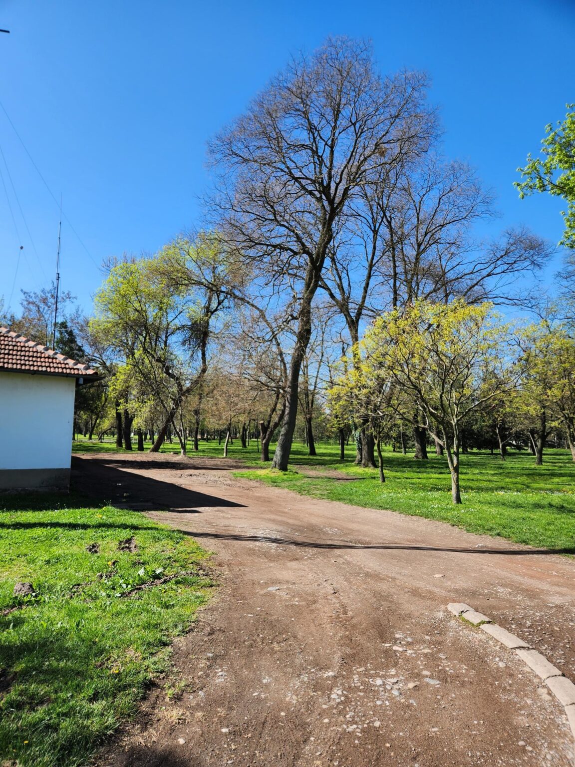 Leskovac and Niš: a two-day dash next door to southern Serbia