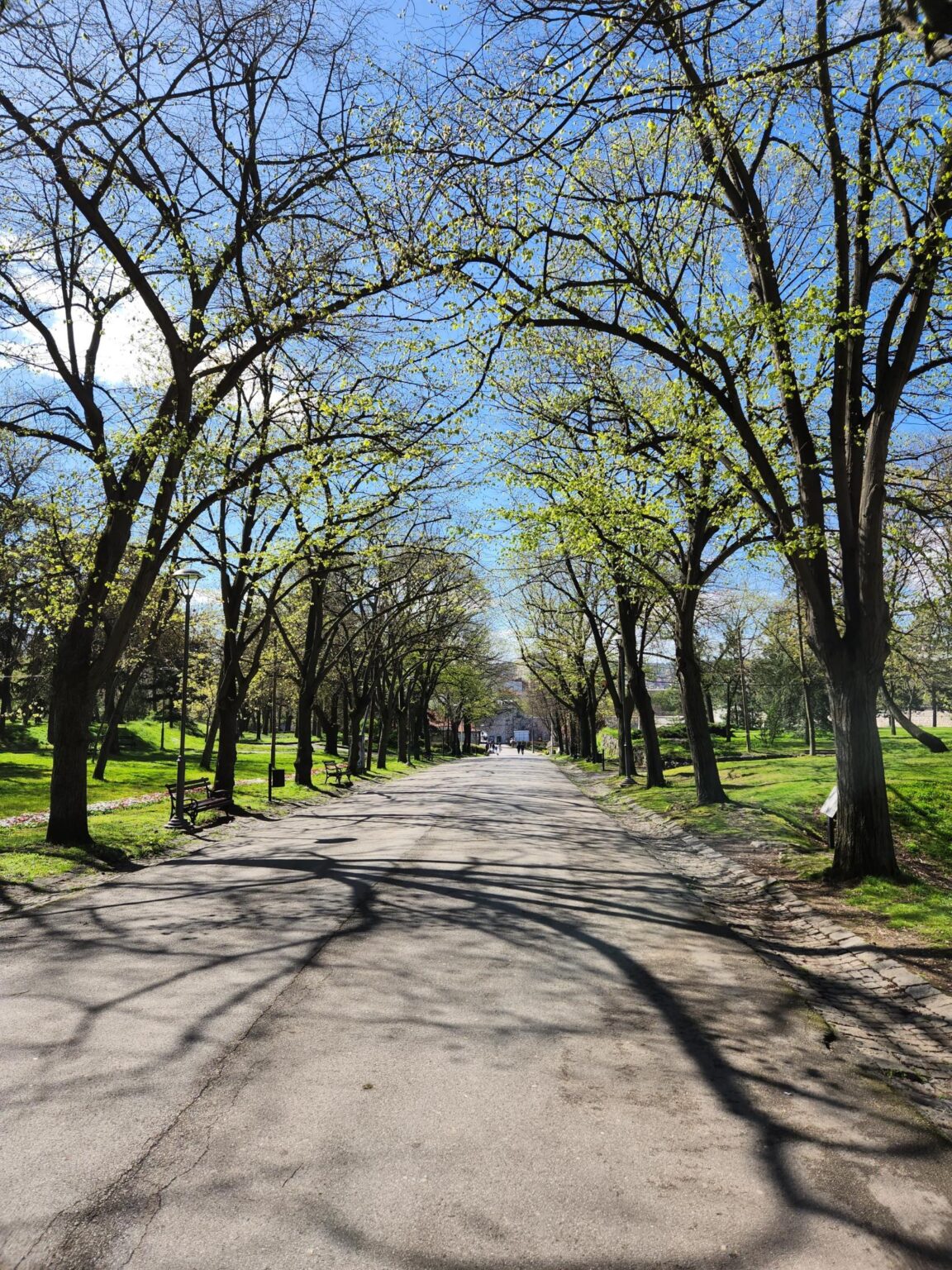 Leskovac and Niš: a two-day dash next door to southern Serbia
