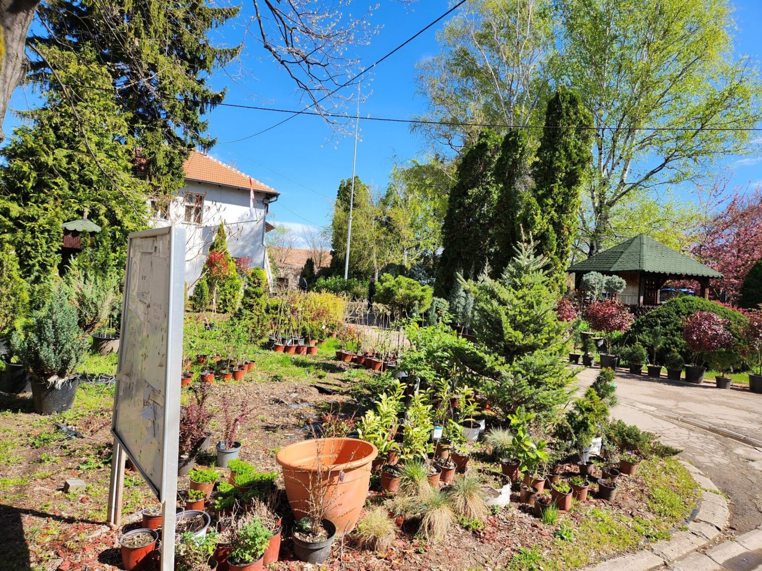 Leskovac and Niš: a two-day dash next door to southern Serbia