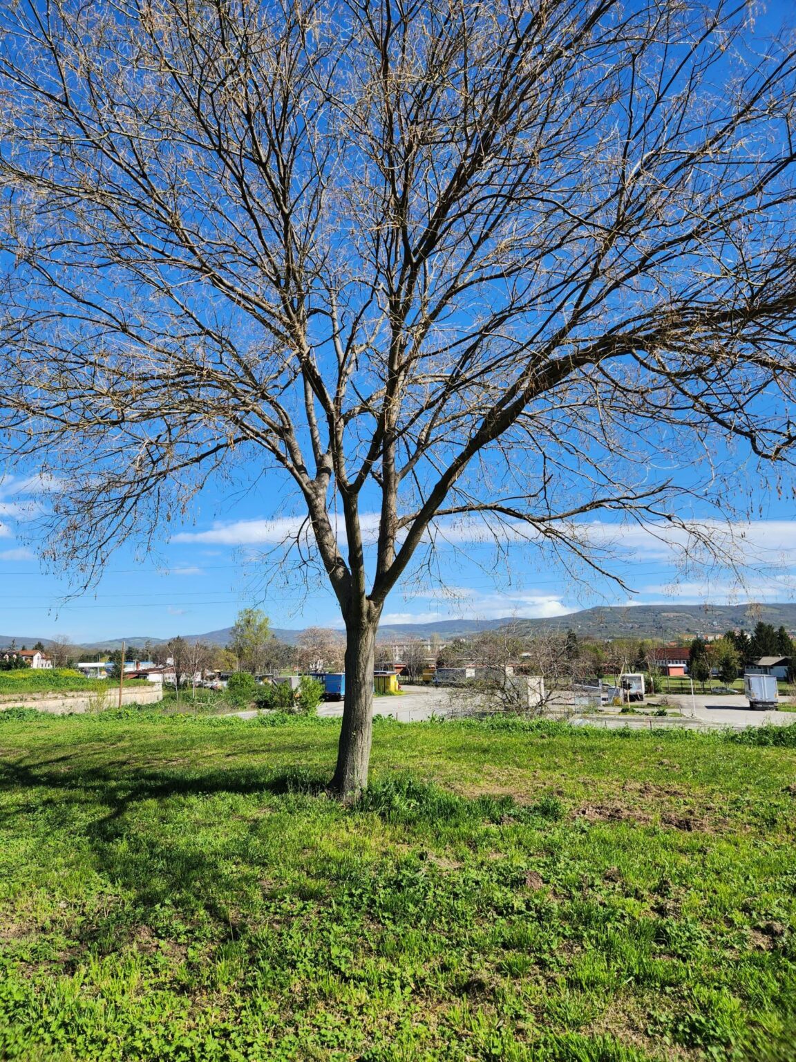 Leskovac and Niš: a two-day dash next door to southern Serbia