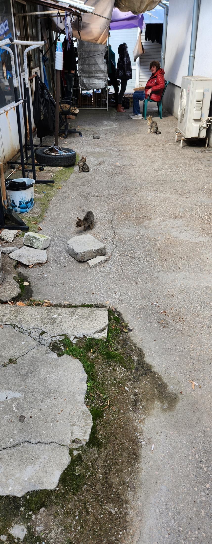 Northwestern Bulgaria and Its Wonders: Written Off? Absolutely Not!