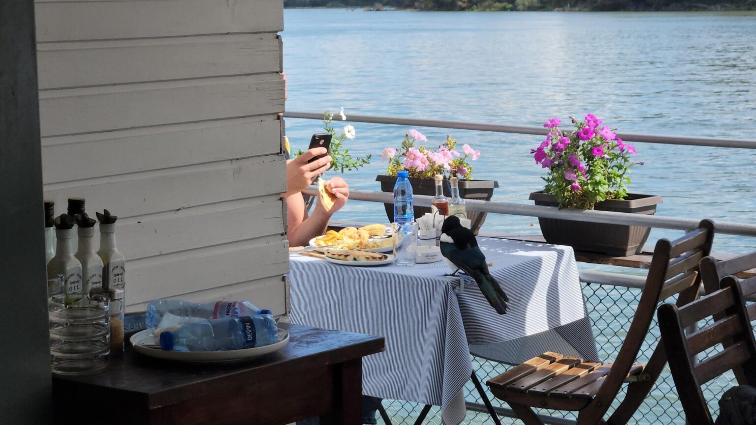 Northwestern Bulgaria and Its Wonders: Written Off? Absolutely Not!