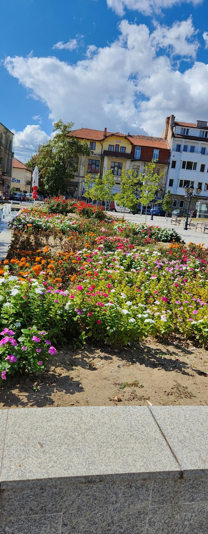 Northwestern Bulgaria and Its Wonders: Written Off? Absolutely Not!