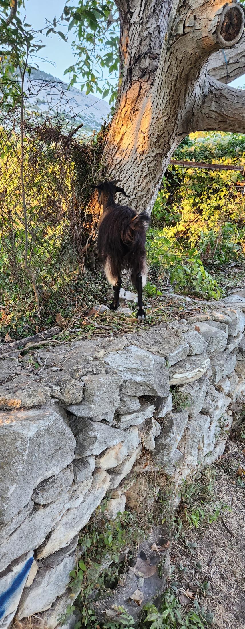 Thassos Island in Greece – From the Sea to the Mountains