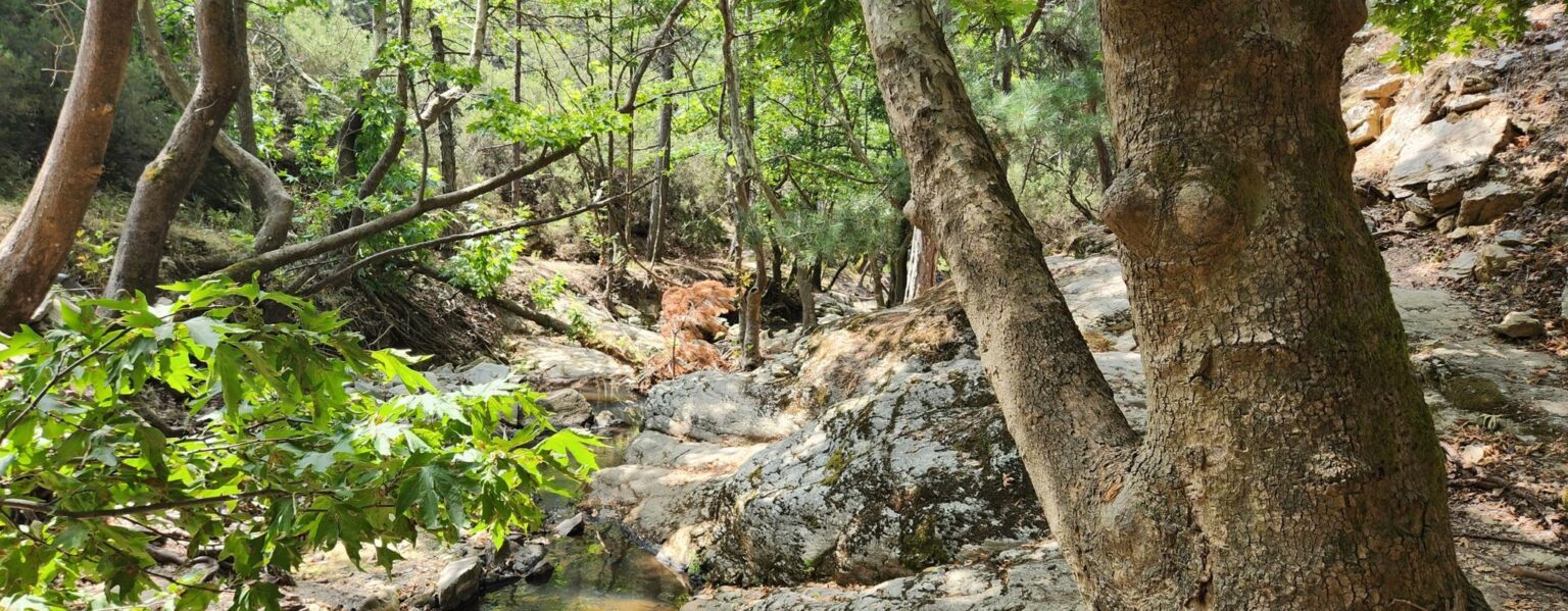 Thassos Island in Greece – From the Sea to the Mountains