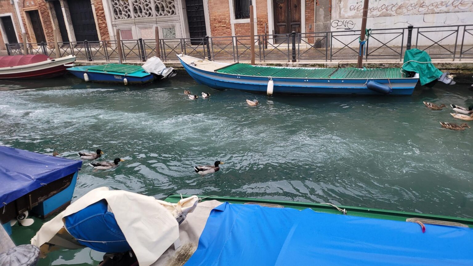 Venice in 4 Days — Easy, Fast and Far Cheaper Without a Tour Operator