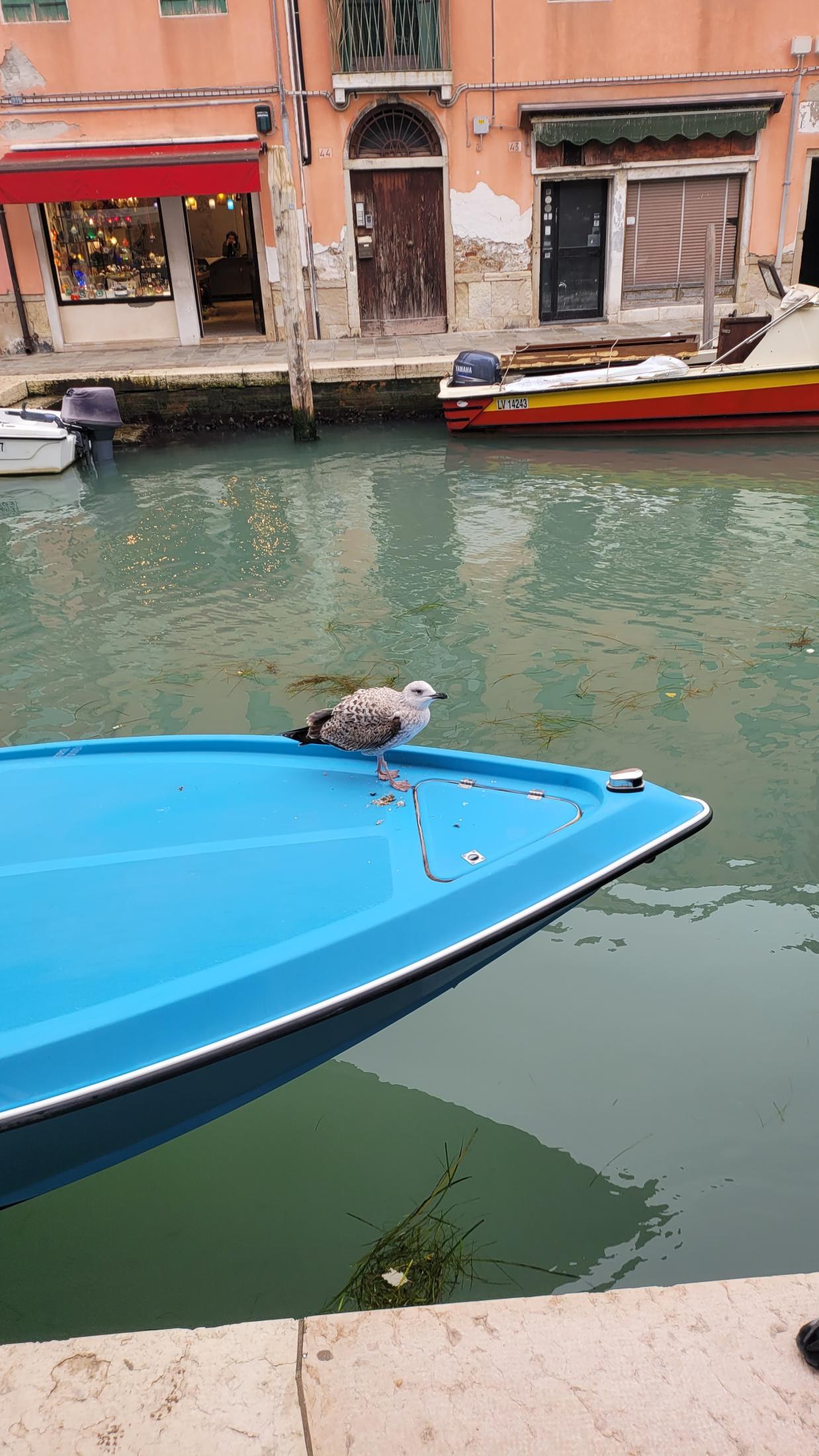 Venice in 4 Days — Easy, Fast and Far Cheaper Without a Tour Operator