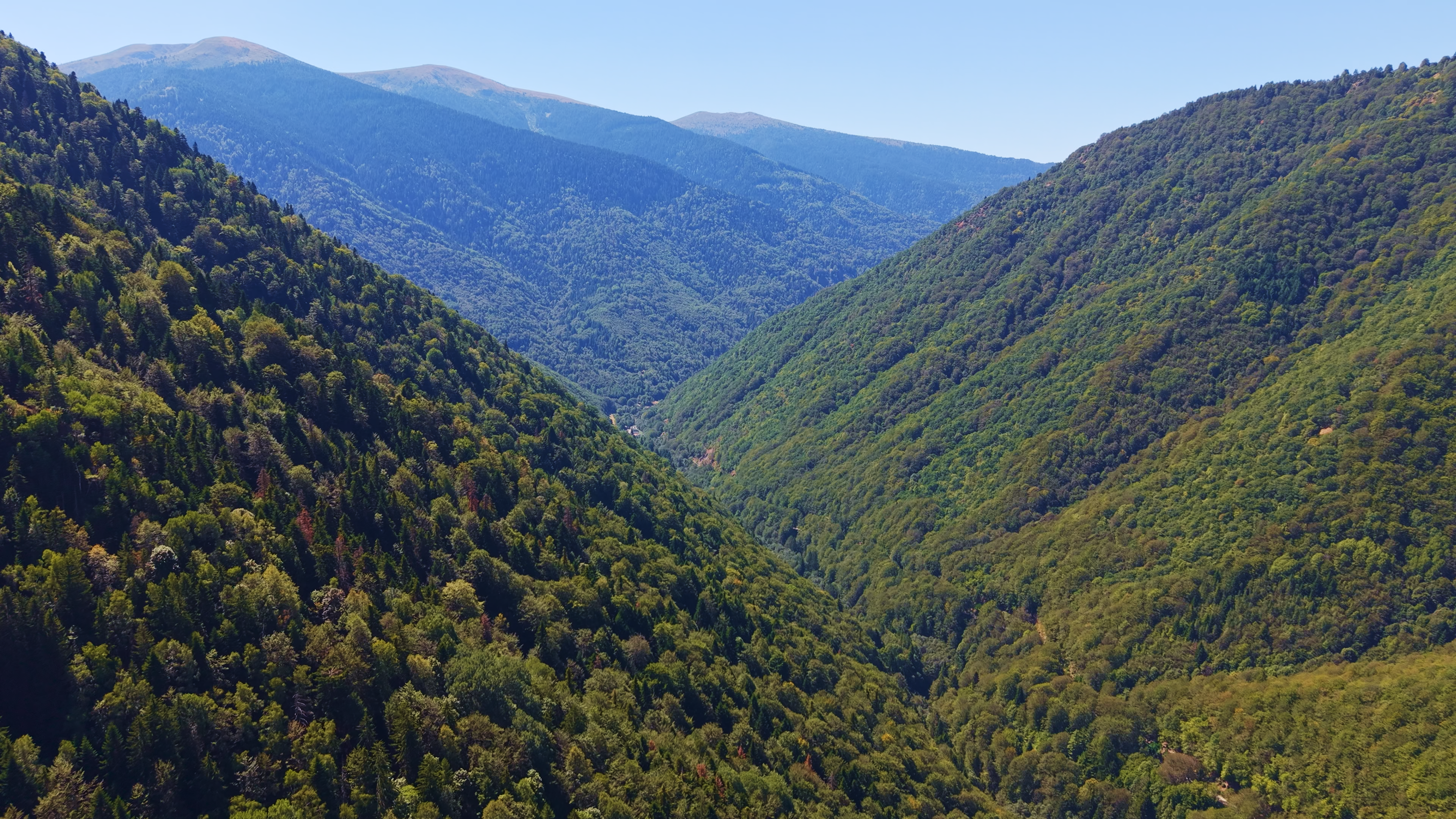 Sacred Mountain Featured