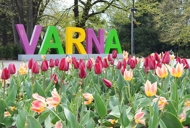 varna-featured