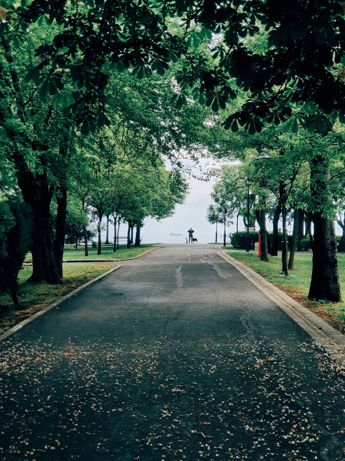 burgas-5-featured