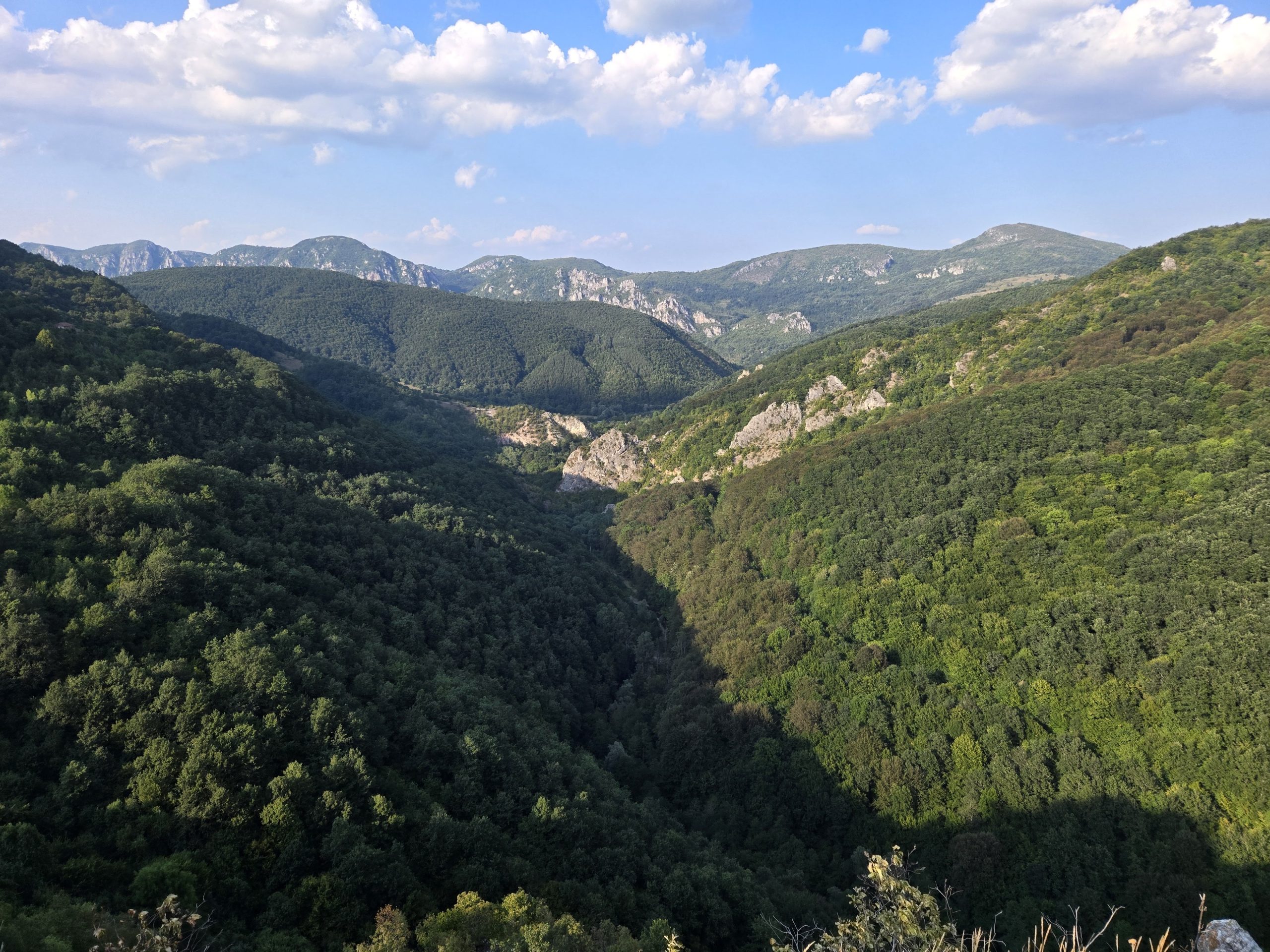 Панорамна гледка към долината от Трън