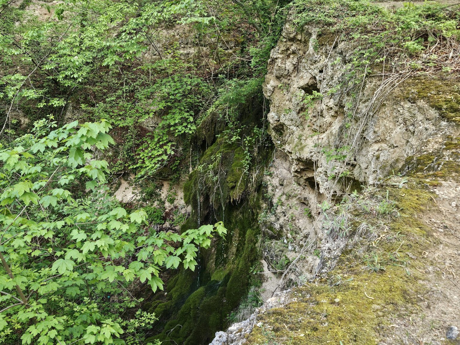 Скалната теснина с малък воден поток до бачковския манастир