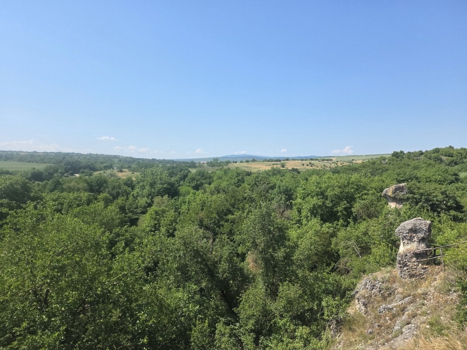 Панорамна гледка към гористи хълмове