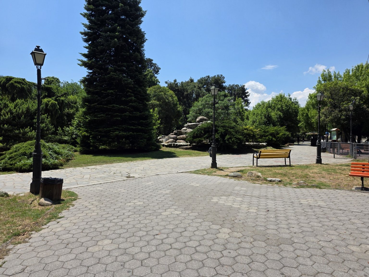 Павирана пътека в парка с пейки и високи дървета