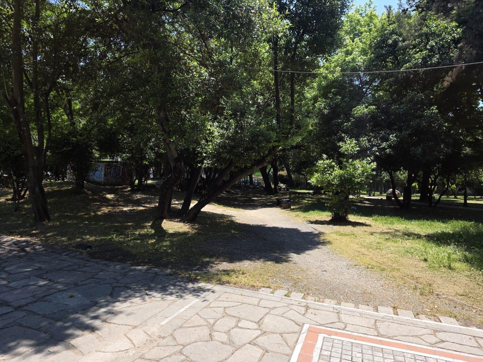 Сенчеста пътека под гъсти дървета в зелен парк